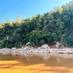 Contraste de couleurs entre la Tsiribihina et la flore environnante.